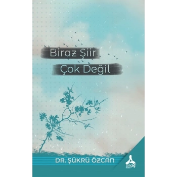 Biraz Şiir Çok Değil