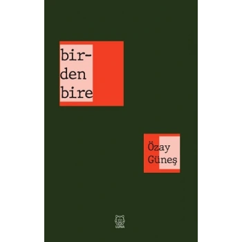 Birdenbire