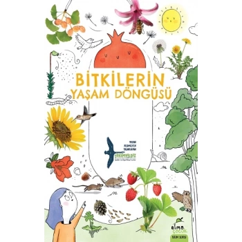 Bitkilerin Yaşam Döngüsü
