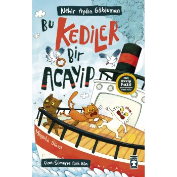 Bu Kediler Bir Acayip