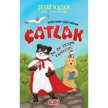 Bu Ne Dünya Kardeşim! - Çatlak