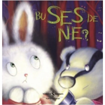 Bu Ses De Ne?