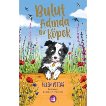 Bulut Adında Bir Köpek