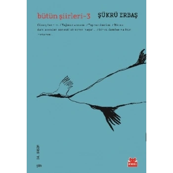 Bütün Şiirleri - 3