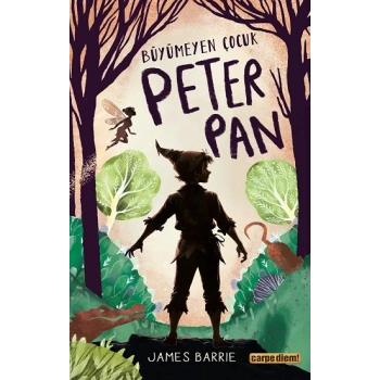 Büyümeyen Çocuk Peter Pan
