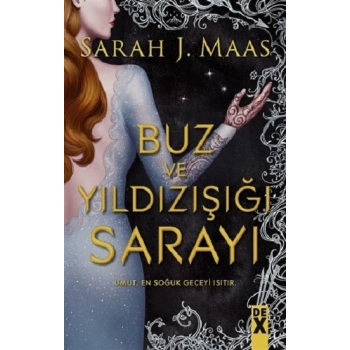 Buz ve Yıldızışığı Sarayı