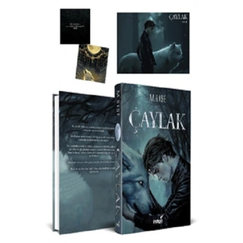 Çaylak (Ciltli)