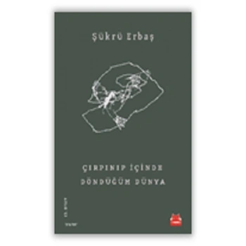 Çırpınıp İçinde Döndüğüm Dünya