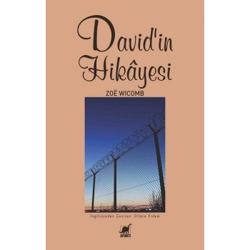 Davidin Hikayesi