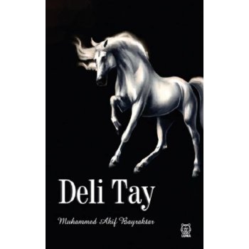Deli Tay