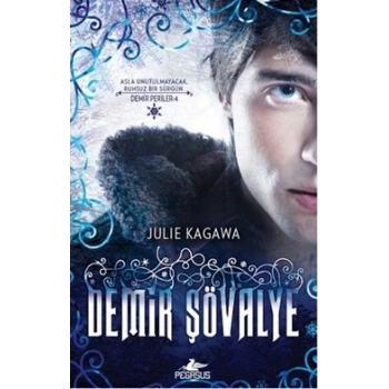 Demir Şövalye