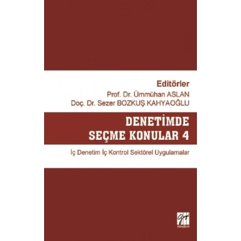 Denetimde Seçme Konular 4