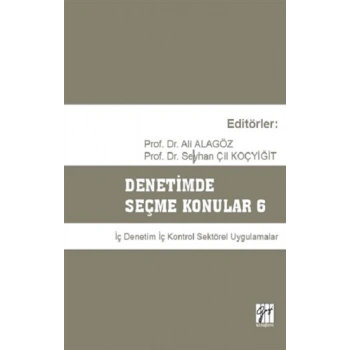 Denetimde Seçme Konular 6