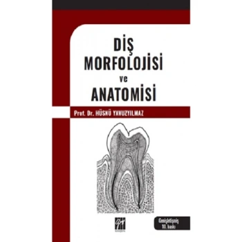 Diş Morfolojisi Ve Anatomisi