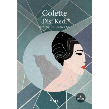 Dişi Kedi