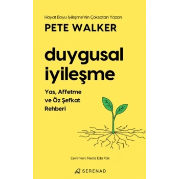 Duygusal İyileşme