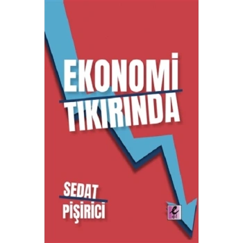 Ekonomi Tıkırında