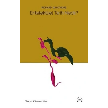 Entelektüel Tarih Nedir?
