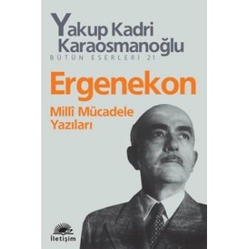 Ergenekon: Milli Mücadele Yazıları