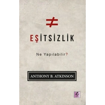 Eşitsizlik - Ne Yapılabilir?