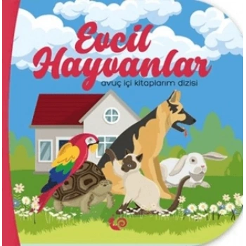 Evcil Hayvanlar - Avuç İçi Kitaplarım Dizisi
