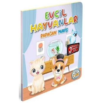 Evcil Hayvanlar Papağan Maviş