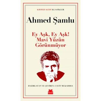 Ey Aşk, Ey Aşk! Mavi Yüzün Görünmüyor