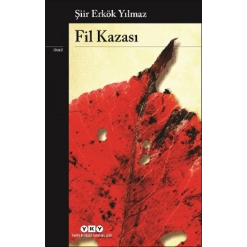 Fil Kazası