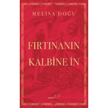 Fırtınanın Kalbine İn