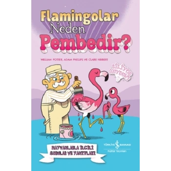 Flamingolar Neden Pembedir? Hayvanlarla İlgili Sorular ve Yanıtları