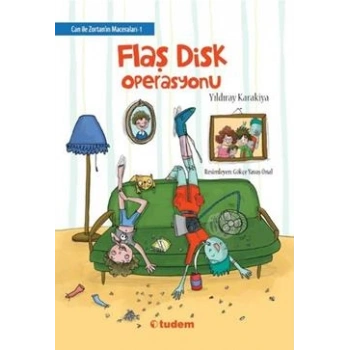 Flaş Disk Operasyonu
