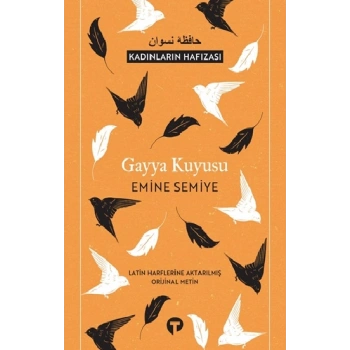 Gayya Kuyusu