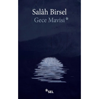 Gece Mavisi