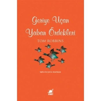 Geriye Uçan Yaban Ördekleri