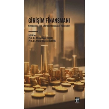 Girişim Finansmanı
