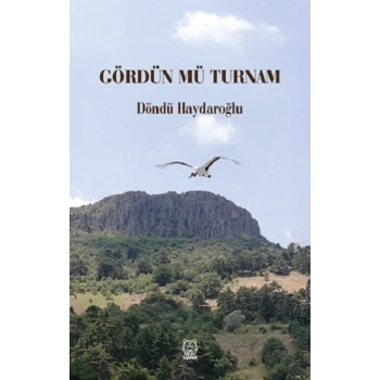 Gördün mü Turnam