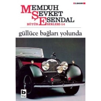 Güllüce Bağları Yolunda