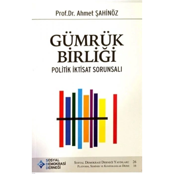 Gümrük Birliği ve Politik İktisadi Sorunsalı