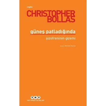 Güneşi Patladığında - Şizofreninin Gizemi