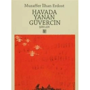 Havada Yanan Güvercin
