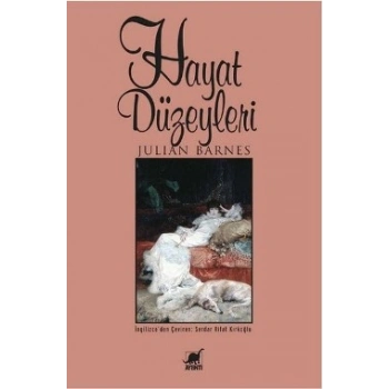 Hayat Düzeyleri