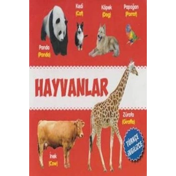 Hayvanlar Türkçe-İngilizce