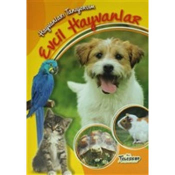 Hayvanları Tanıyorum - Evcil Hayvanlar