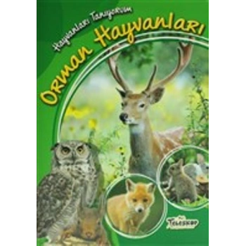 Hayvanları Tanıyorum - Orman Hayvanları