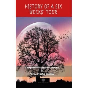 History of a Six Weeks Tour