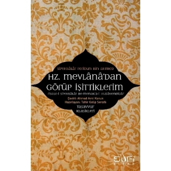 Hz. Mevlanadan Görüp İşittiklerim
