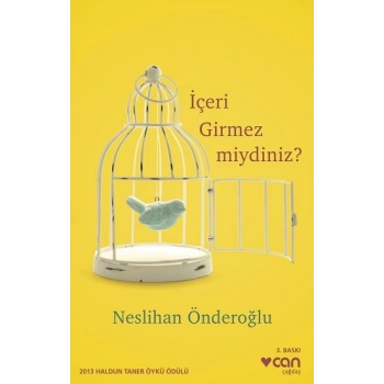 İçeri Girmez miydiniz ?