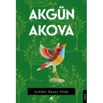 İçimden Geçen Yolda
