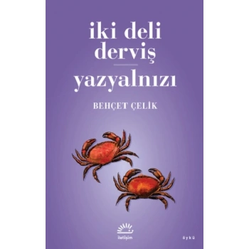 İki Deli Derviş - Yazyalnızı