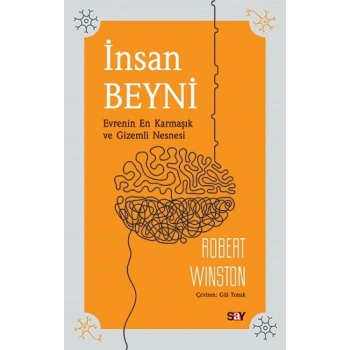 İnsan Beyni